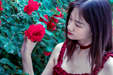 学猴叫能让天堂鸟长新叶 为植物提供“情绪价值”有用吗 